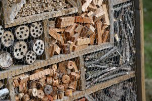Insect house