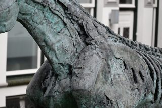 Horse. Saxion, Enschede
