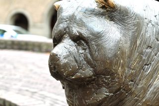 Dog. Ei van Ko, Enschede