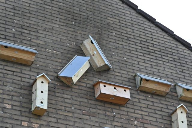 photo of a diverse collection of birdhouses