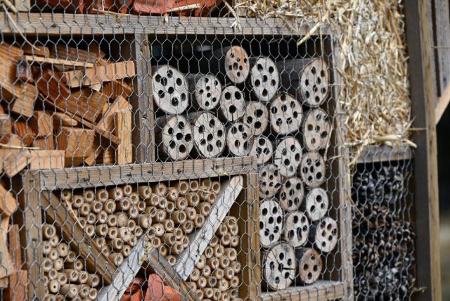 Close up photo of an insect house
